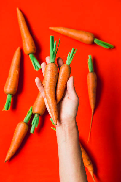 istock A bunch of fresh carrots in hand on red background. 1161223812