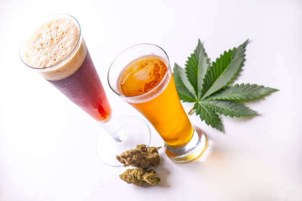 Cold glasses of beer with cannabis leaf and nugs isolated over white - fotografia de stock