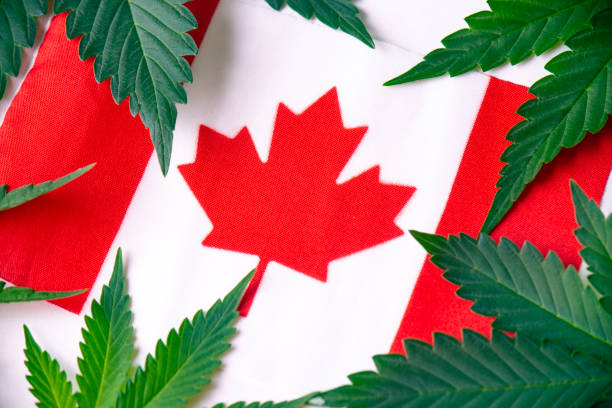 Detail of canadian flag with cannabis leaves stock photo