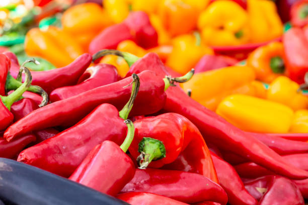 Organic Red chili peppers for sale in farmers market