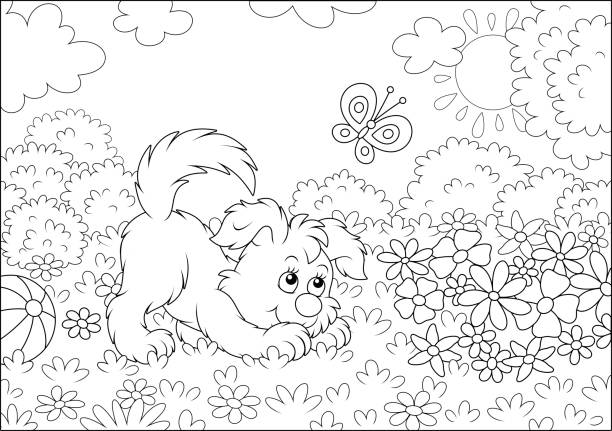 Small puppy playing with a butterfly Funny playful brown pup among colorful flowers on green grass of a garden on a sunny summer day, black and white outline vector illustration in a cartoon style coloring illustrations stock illustrations
