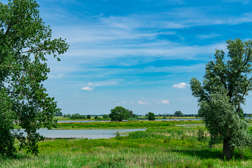 River Lek and creeks. Lexmond, Holland