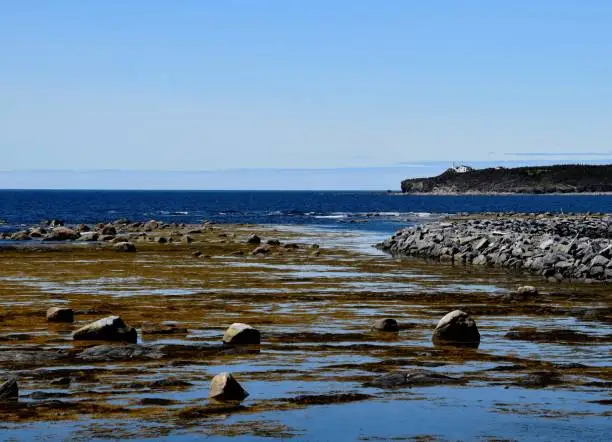 Photo of bay view towards Lobster Cove Head lighthouse