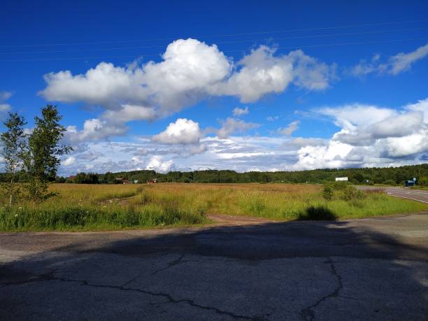 istock Country road on a summer day 1161234352