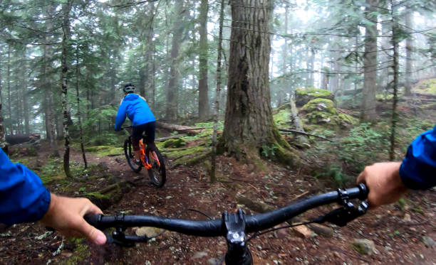 istock View past handlebars to young woman mountain biker riding on rainforest trail 1161241751