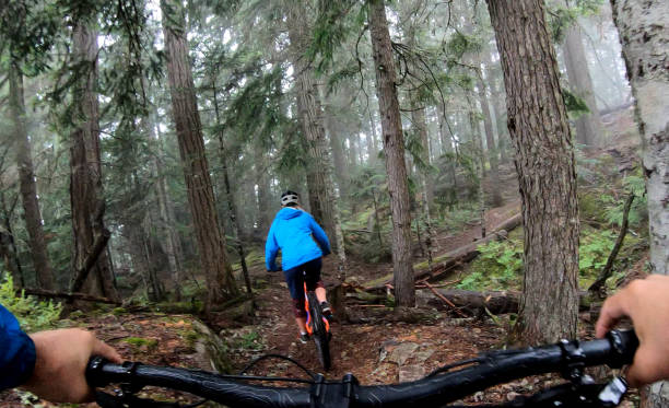 istock View past handlebars to young woman mountain biker riding on rainforest trail 1161241799