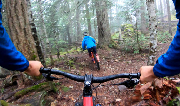 istock View past handlebars to young woman mountain biker riding on rainforest trail 1161241801