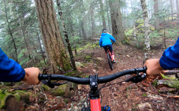 istock View past handlebars to young woman mountain biker riding on rainforest trail 1161241804
