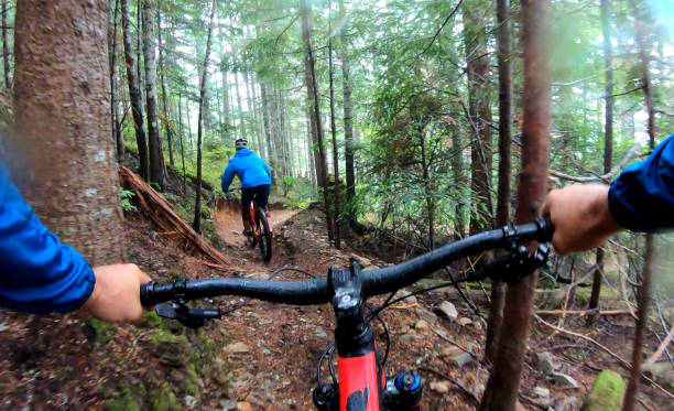 istock View past handlebars to young woman mountain biker riding on rainforest trail 1161241866