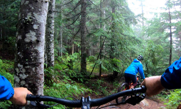 istock View past handlebars to young woman mountain biker riding on rainforest trail 1161241947