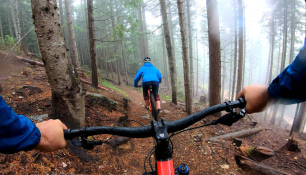 istock View past handlebars to young woman mountain biker riding on rainforest trail 1161241955