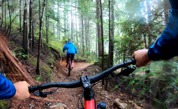 istock View past handlebars to young woman mountain biker riding on rainforest trail 1161242539