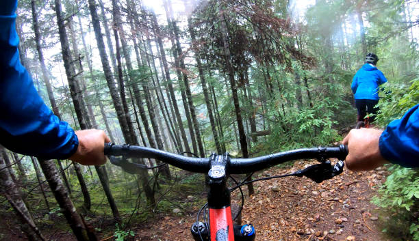 istock View past handlebars to young woman mountain biker riding on rainforest trail 1161242549