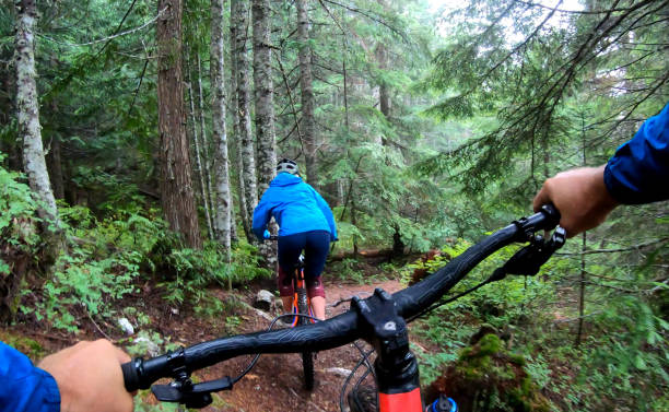 istock View past handlebars to young woman mountain biker riding on rainforest trail 1161242557