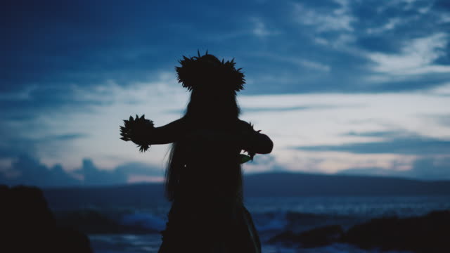 Silhouette of a traditional Hawaiian hula dancer