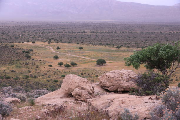 istock The hill of Iran in springtime, Iran 1161248328