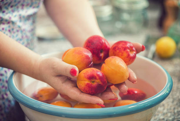 Young woman cleaning and washing fresh apricots for making homemade jam