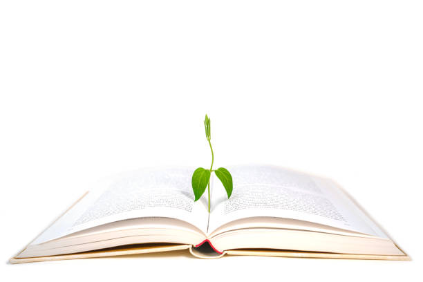 istock Book and plant on white background, isolated. 1161253774