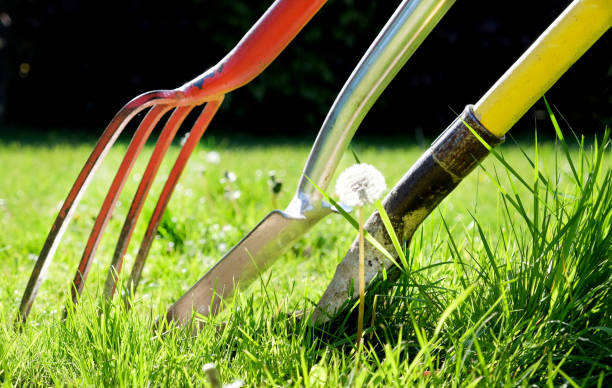 istock a red gardening fork leaning against two gardening forks 1161262219