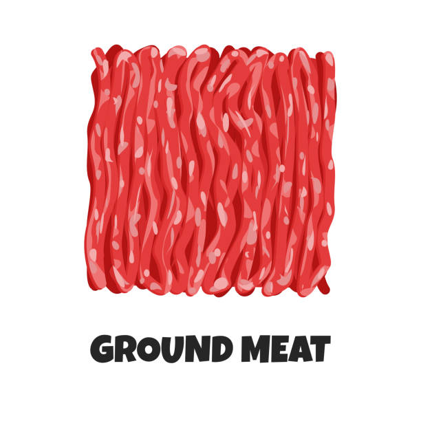 vektor realistische illustration von gemahlenem fleisch - carnivore stock-grafiken, -clipart, -cartoons und -symbole
