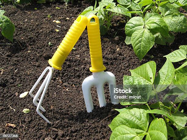 Gärtnerntools Stockfoto und mehr Bilder von Blatt - Pflanzenbestandteile - Blatt - Pflanzenbestandteile, Botanik, Erdreich