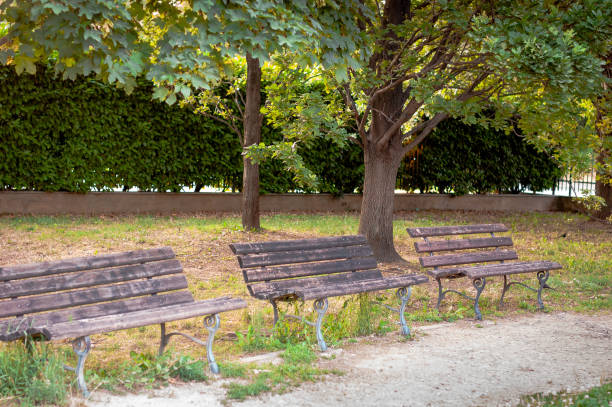 istock Three benches under the tree in the park, summertime 1161280265