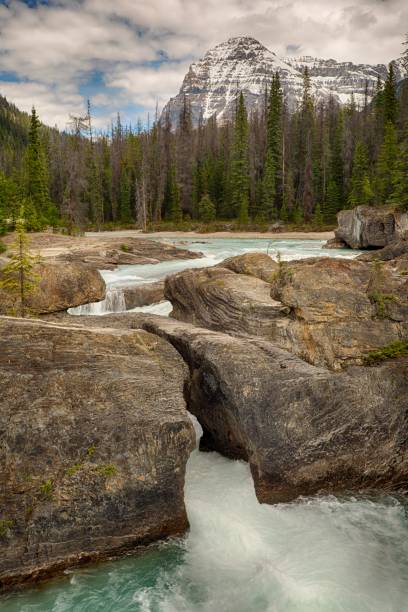 istock Scenic view of mountains forest and river 1161281776