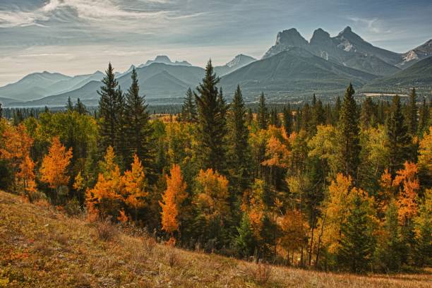 istock Scenic view mountains and autumn valley 1161281829
