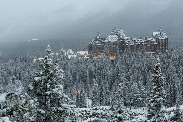 istock Hotel in the forest in winter 1161283882