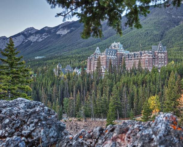 Hotel in the forest in winter