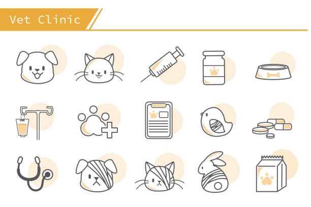 vet clinic icon set simple set of pet vet related vector icons with yellow and white rabbit cage cartoon stock illustrations