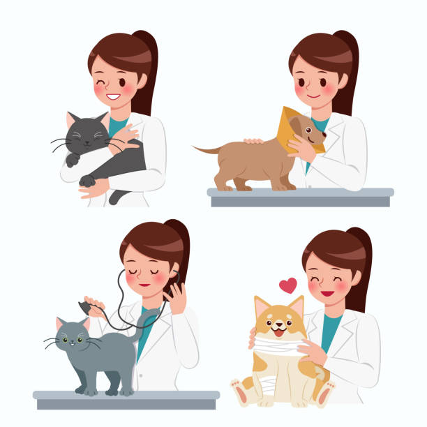 vet clinic concept cartoon veterinarian with injured animals on white background neck ruff stock illustrations