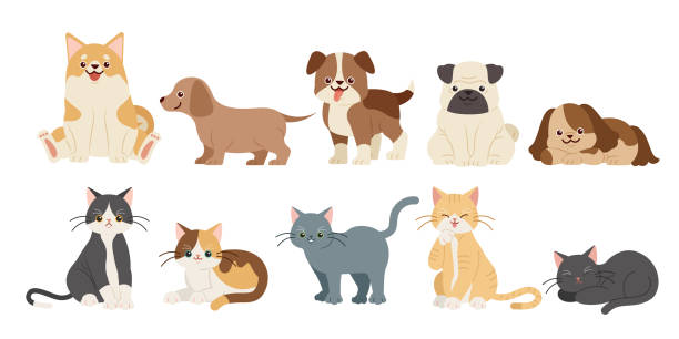 ilustraciones, imágenes clip art, dibujos animados e iconos de stock de lindos perros de dibujos animados y gatos - feline