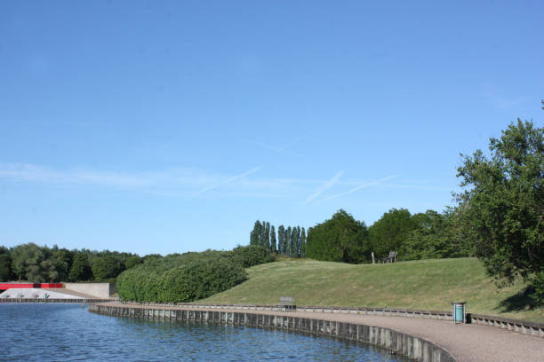 istock Pond migratory bird Summer season  Paris region 1161297774