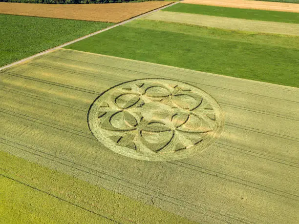 Canton Bern, Switzerland - July 05, 2019: mysterious crop circle emerged overnight in wheat field with beautiful pattern.