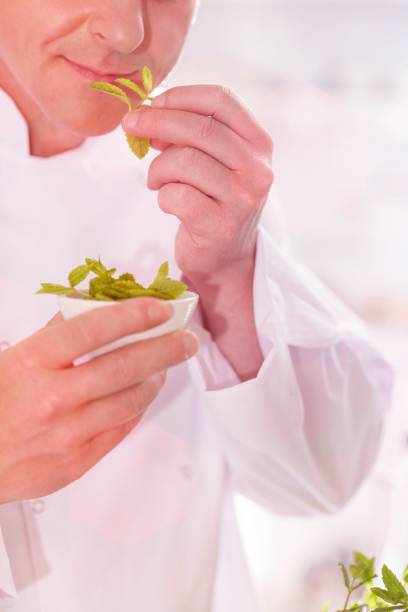 istock Midsection of mature chef smelling herb leaves in kitchen at restaurant 1161306715