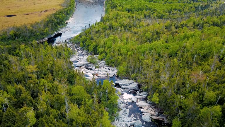 Cascading Stream