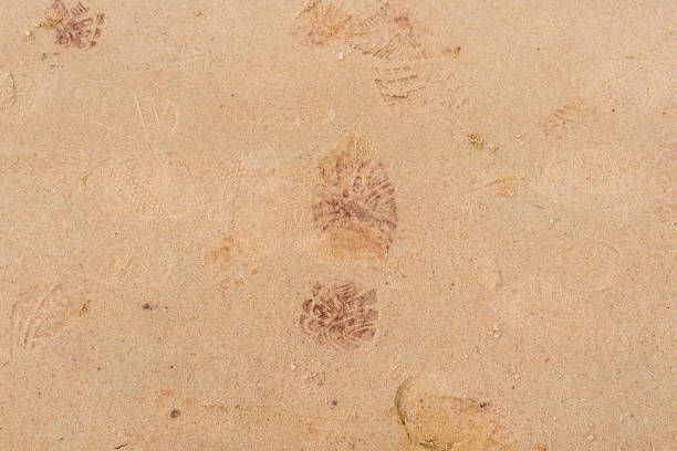 istock Texture of a concrete wall with cracks and scratches which can be used as a background 1161309580