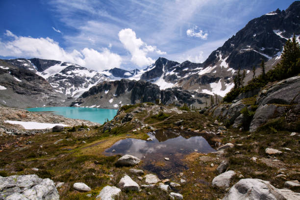 istock Wedgemount Lake in summer, BC, Canada 1161315279