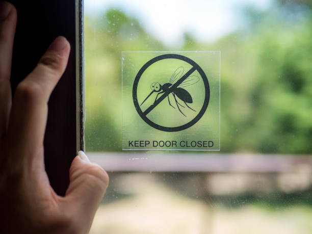 mosquito, keep door closed, a door with a symbol mosquito danger sign template - netting child mosquito netting window imagens e fotografias de stock