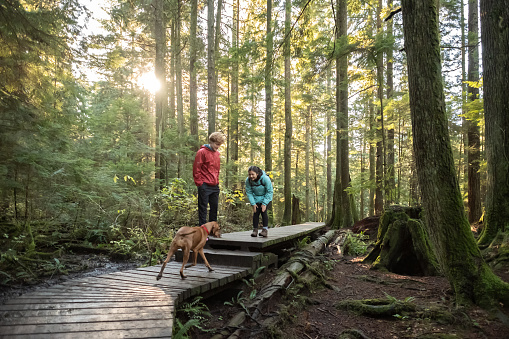 Eurasian teen girl, Caucasian teen boy, and pet Vizsla dog in Seymour Demonstration Forest, North Vancouver, British Columbia, Canada