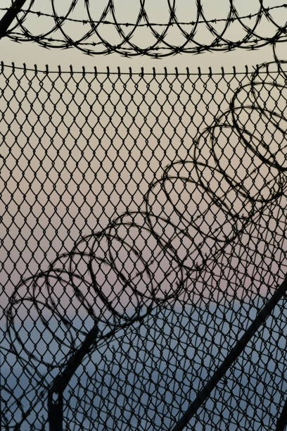 istock Chainlink fence and Razor wire with Gradient Sky 1161332469