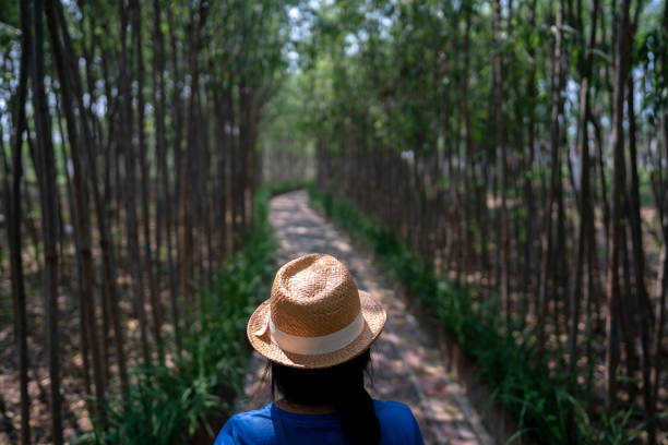 Young girl wearing sunhat walking in park