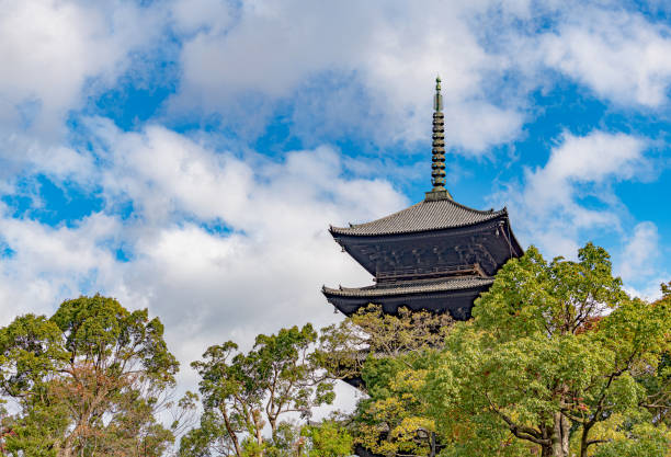 To-ji temple Kyoto, Kyoto, Japan - November 14 2018 : The Five-Storied Pagoda of the To-ji temple. Founded in 796, it was one of the only three buddhist temples allowed in the city at the time it became the capital of Japan. shingon buddhism stock pictures, royalty-free photos & images