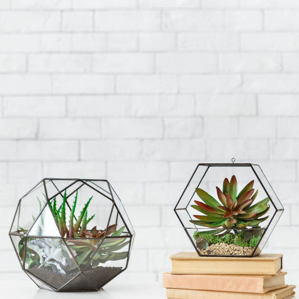 istock Florariums and stack of books on shelf at white background 1161338562