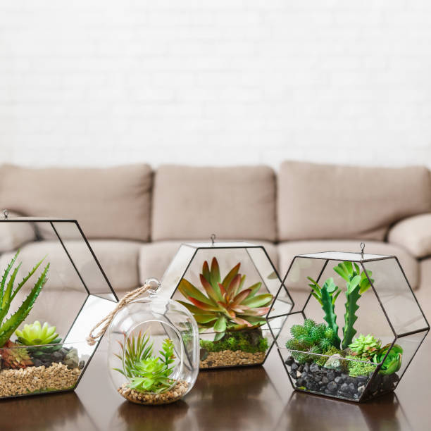 istock Indoor plants in florarium vases on table 1161338608