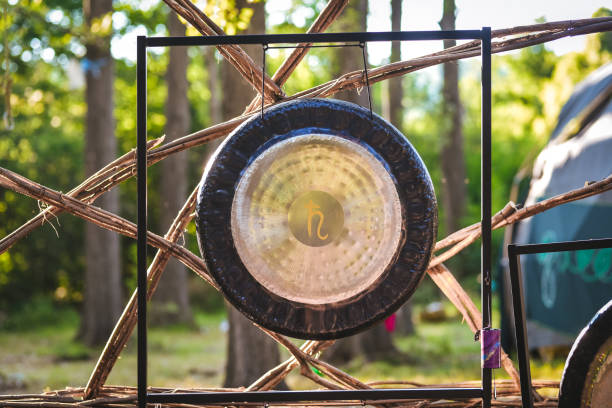 istock Gong for a sound therapy in the nature 1161339802