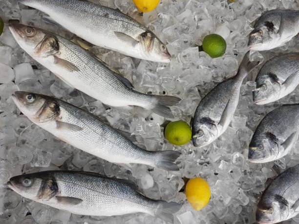 istock Several Fresh Fishes on Ice Cubes 1161341278