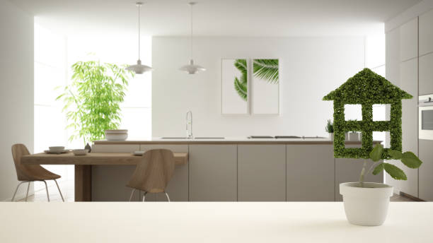istock White table top or shelf with green plant in pot shaped like house, modern blurred kitchen in the background, interior design, real estate, eco architecture concept idea 1161347794