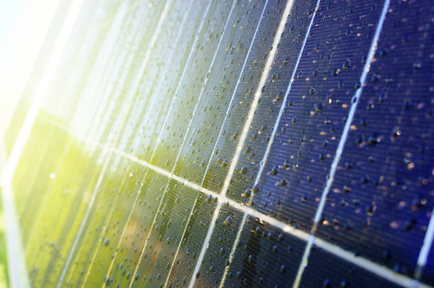 zbliżenie ciemnoniebieskiego panelu słonecznego z kroplami wody i odbiciem zielonych drzew - solar power station sun panel energy zdjęcia i obrazy z banku zdjęć